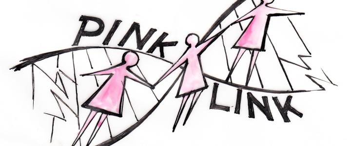 ZC MILANO SANT’AMBROGIO partecipa al progetto “Zonta Pink Link” per la promozione di studi e carriere STEM al femminile